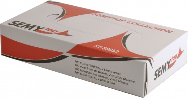 Kosmetiktücher 2-lagig, 21x20,5 cm, hochweiß, 100 Tücher pro Box (35 Boxen)